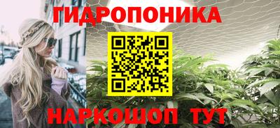 сатива Комсомольск-на-Амуре