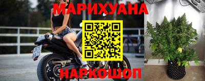 сатива Комсомольск-на-Амуре