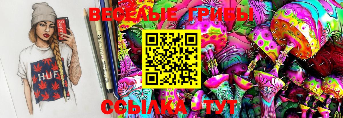 Кизляр  Псилоцибиновые грибы Magic Shrooms  Вход с VPN 